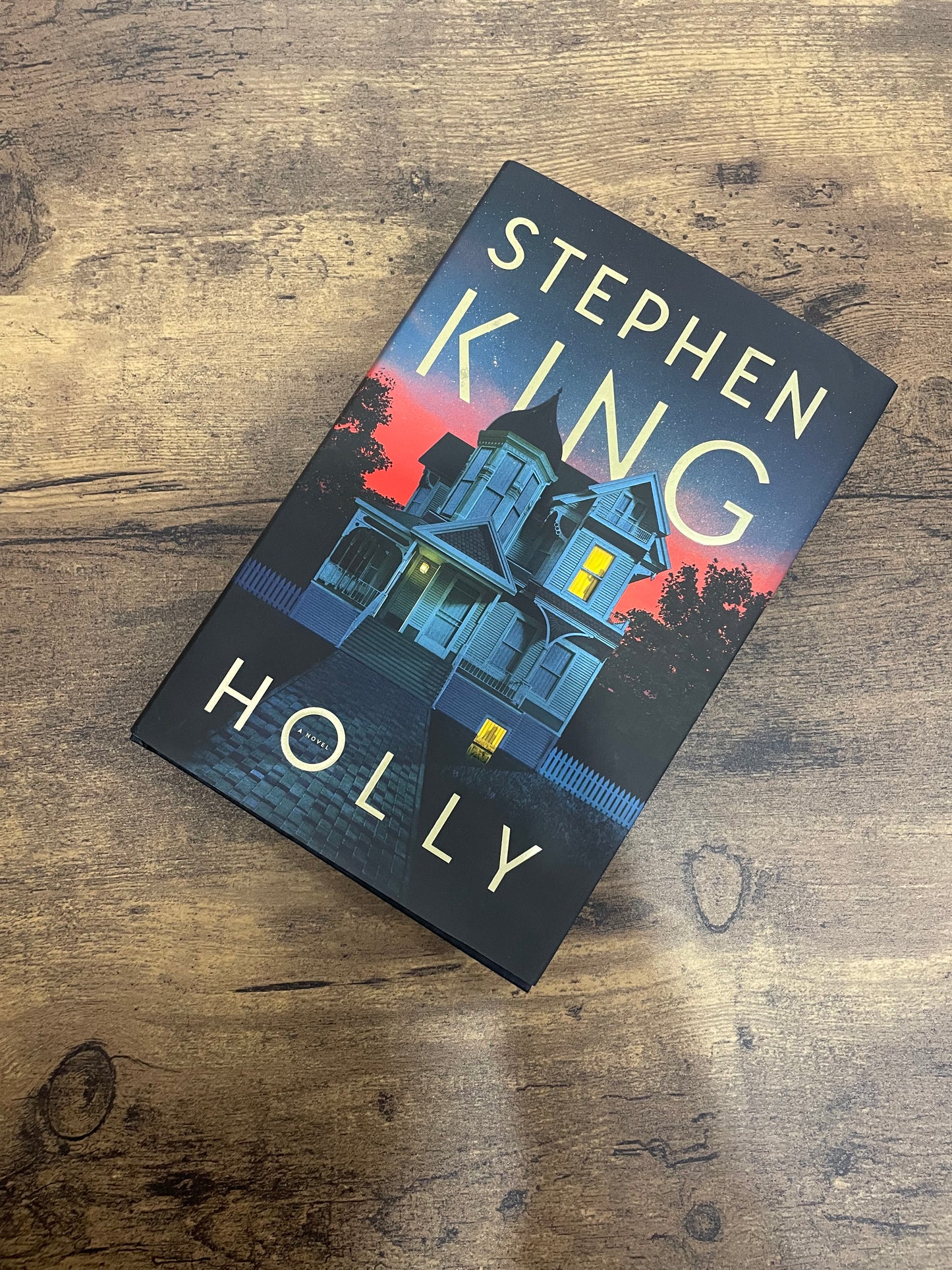 Holly by Stephen KIng (Hardcover)